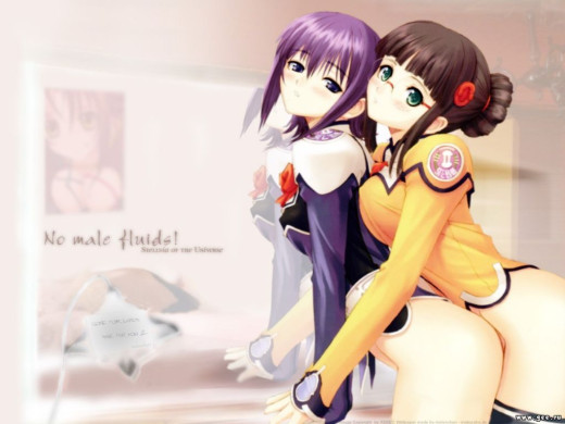 181901 (a): :1024x768